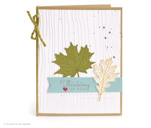 The Fallen Leaves card is in Desert Sand, Fern, and Saffron inks on Glacier paper...perfect for crisp Thanksgiving weather! 
